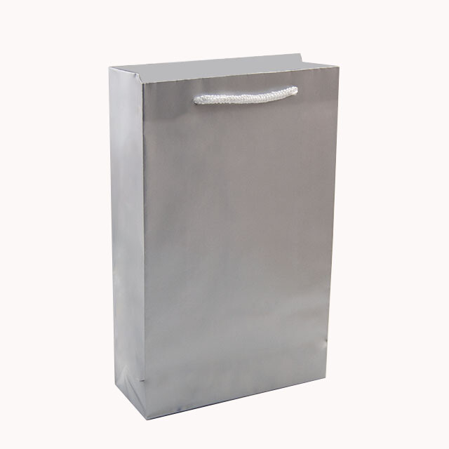 VitrinKutu - Karton Çanta 17x27 cm Gümüş (12'li Paket)