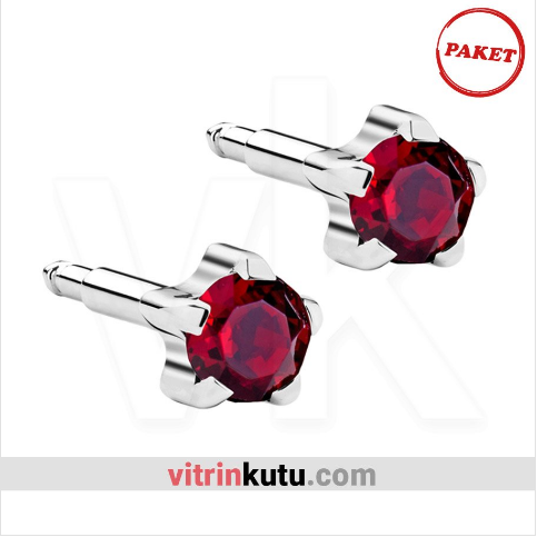 Steril Kulak Delme Küpesi 12 Çift Tırnaklı Nina Çelik Lal - 2